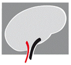 Aachen Neurologie